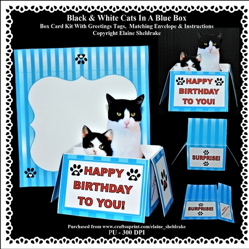 Black & White Cats In A Blue Box - Box card Kit With Greetings Tags, Instructions And Matching Envelope