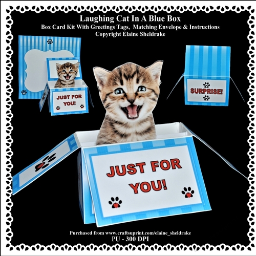 Laughing Kitten In A Blue Box - Box card Kit With Greetings Tags, Instructions And Matching Envelope