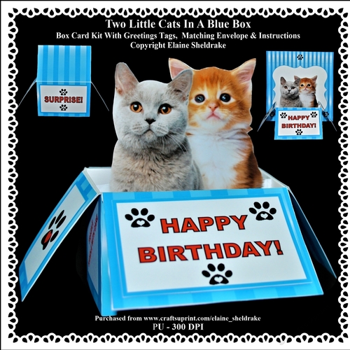 Two Little Kittens In A Blue Box - Box card Kit With Greetings Tags, Instructions And Matching Envelope