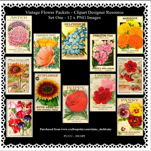Twelve Vintage Flower Packets - Set One - Printable Clipart - Designers Resource