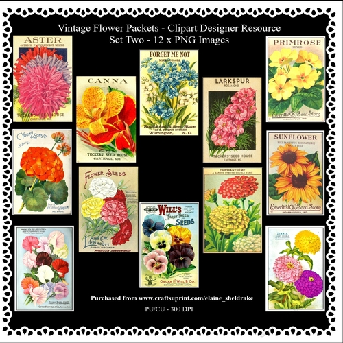 Twelve Vintage Flower Packets - Set Two - Printable Clipart - Designers Resource