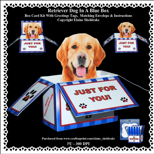 Golden Retriever In A Blue Box - Box Card Kit With Greetings Tags, Instructions And Matching Envelope