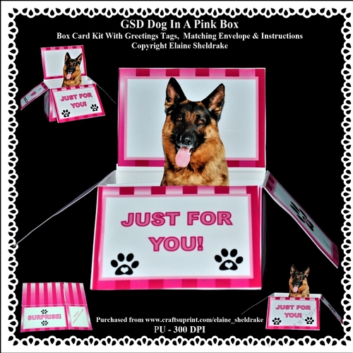 GSD Dog In A Pink Box - Box Card Kit With Greetings Tags, Instructions And Matching Envelope
