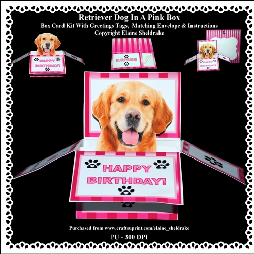 Golden Retriever Dog In A Pink Box - Box Card Kit With Greetings Tags, Instructions And Matching Envelope