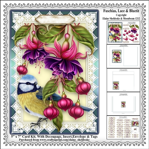 Fuschias, Lace & Bluetit - 5 x 7 Card Kit With Decoupage, Insert, Envelope & Masses Of Tags 