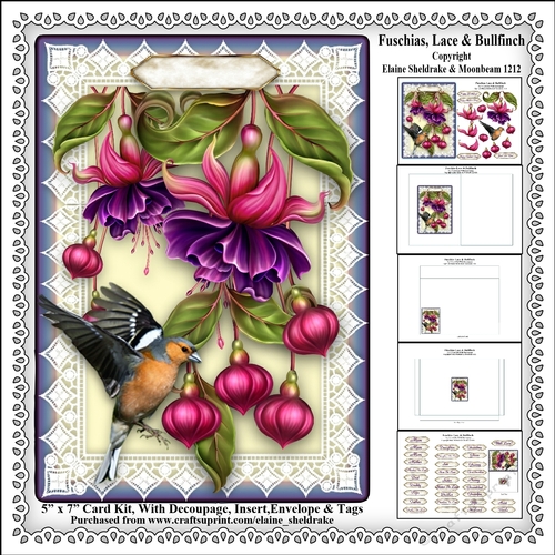Fuschias, Lace & Finch - 5 x 7 Card Kit With Decoupage, Insert, Envelope & Masses Of Tags 
