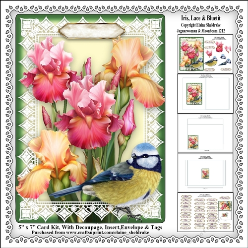 Iris, Lace & Bluetit - 5 x 7 Card Kit With Decoupage, Insert, Envelope & Masses Of Tags