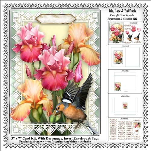 Iris, Lace & Finch - 5 x 7 Card Kit With Decoupage, Insert, Envelope & Masses Of Tags