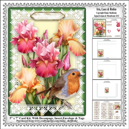 Iris, Lace & Robin - 5 x 7 Card Kit With Decoupage, Insert, Envelope & Masses Of Tags