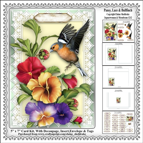 Pansy, Lace & Finch - 5 x 7 Card Kit With Decoupage, Insert, Envelope & Masses Of Tags