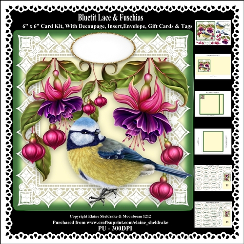 Bluetit Lace & Fuschias 6 x 6 Card Kit With Decoupage Insert Envelope Gift Cards &  Masses Of Tags