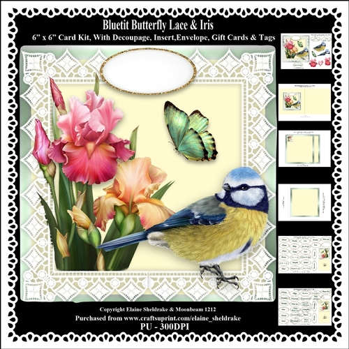 Bluetit Butterfly Lace & Iris Flowers 6 x 6 Card Kit With Decoupage Insert Envelope Gift Cards &  Masses Of Tags