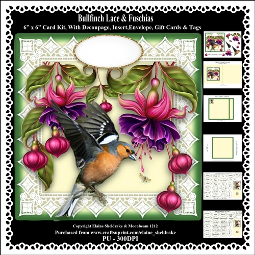 Finch Lace & Fuschia Flowers 6 x 6 Card Kit With Decoupage Insert Envelope Gift Cards &  Masses Of Tags