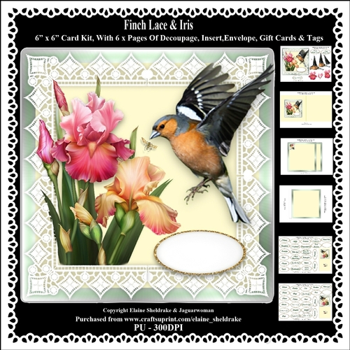 Finch Lace & Iris Flowers 6 x 6 Card Kit With Decoupage Insert Envelope Gift Cards & Masses Of Tags