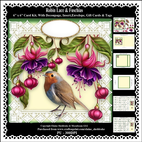 Robin Lace & Fuschia Flowers 6 x 6 Card Kit With Decoupage Insert Envelope Gift Cards & Masses Of Tags