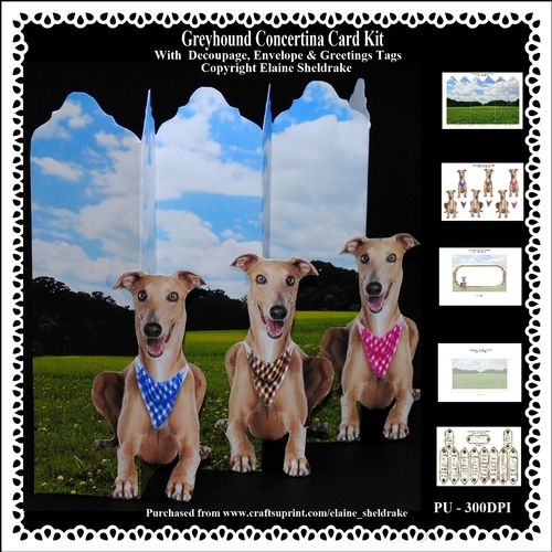 Greyhounds - Over The Edge Concertina Card Kit With Decoupage, Matching Envelope & Greetings Tags