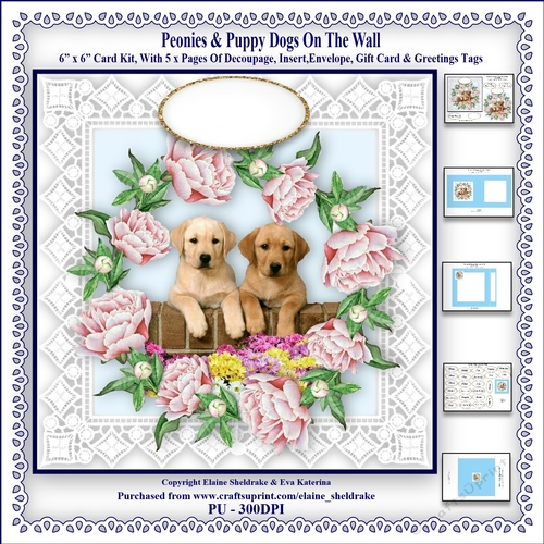 Peonies & Puppy Dogs On The Wall - 6 x 6 Card Kit With Decoupage, Insert, Envelope & Masses Of Tags