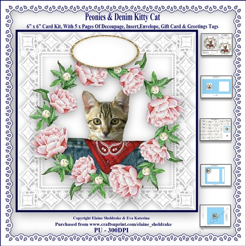 Peonies & Denim Kitty Cat - 6 x 6 Card Kit With Decoupage, Insert, Envelope & Masses Of Tags