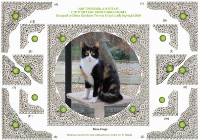 Katy My Tortoishell & White Cat - Lace Frame Corner Stacker