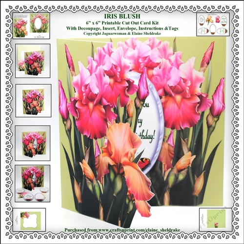 Iris Blush -  6 x 6 Floral Printable Cut Out Card Kit With Decoupage, Insert, Envelope, Tags & Instructions