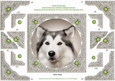 Husky Puppy Dog - Lace Framed Corner Stacker