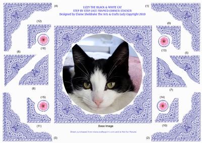 Lizzy a Black & White Cat S by S Lace Framed Corner Stacker