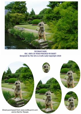 Meerkat Baby Ok1 Own Up Who Pinched My Boat Oval Pyramid