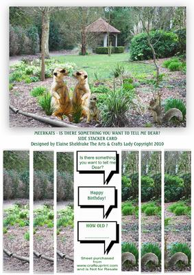 Meerkats - is There Something You Want to Tell Me Dear? Card