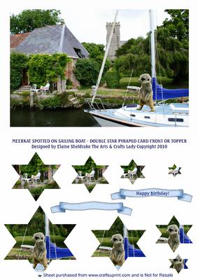 Meerkats Spotted on Sailing Boat - Double Star Pyramid Card
