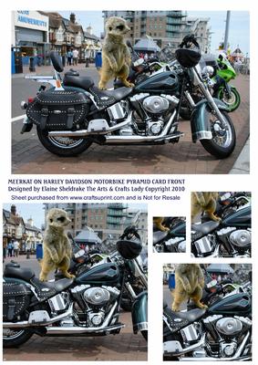 Meerkat on Harley Davidson Motorbike - Pyramid Card Front