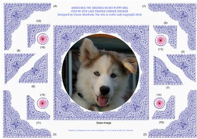 Annouska the Siberian Husky Puppy Dog Framed Corner Stacker