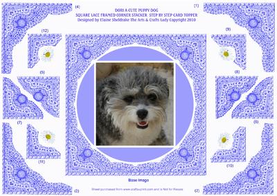 Dori a Cute Puppy Dog - Square Lace Framed Corner Stacker