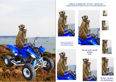 Meerkats - Quadbike Ride - It's My Turn!