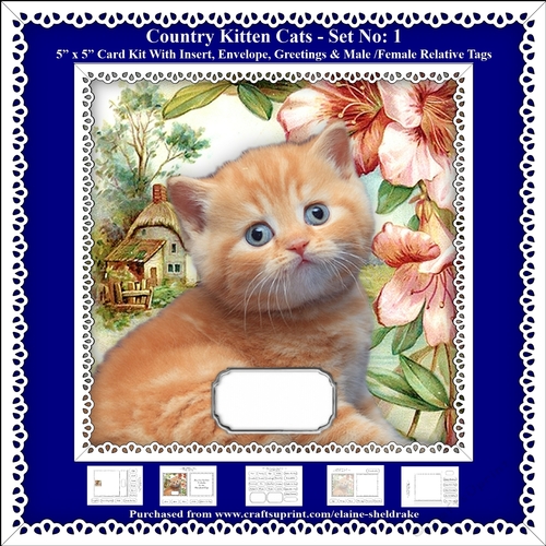 Printable Country Kitten Cat Card Kit - Set No: 1
