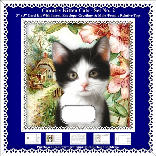 Printable Country Kitten Cat Card Kit - Set No: 2