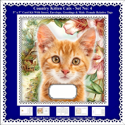 Printable Country Kitten Cat Card Kit - Set No: 4