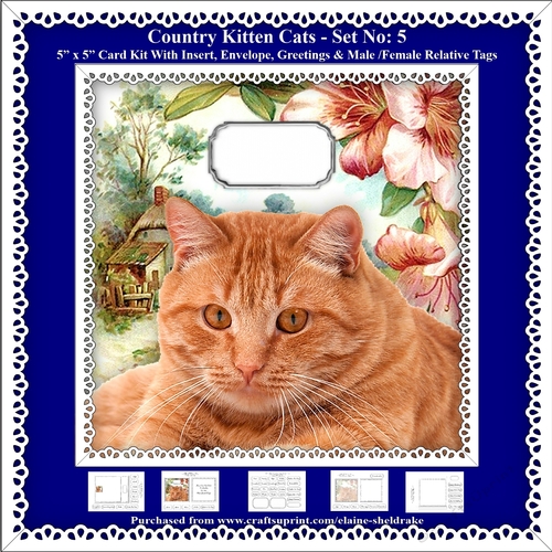 Printable Country Kitten Cat Card Kit - Set No: 5