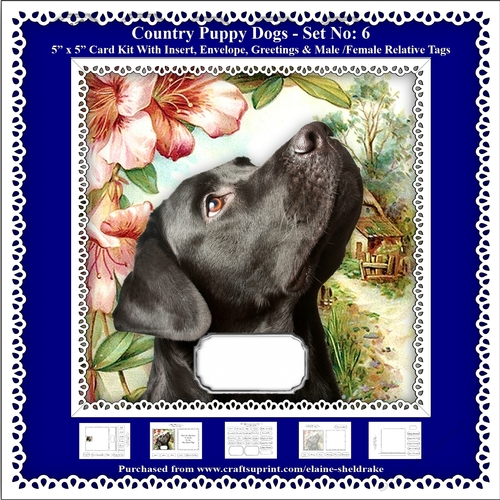 Printable Country Puppy Dog Card Kit - Set No: 6