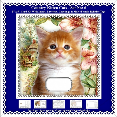 Printable Country Kitten Cat Card Kit - Set No: 6