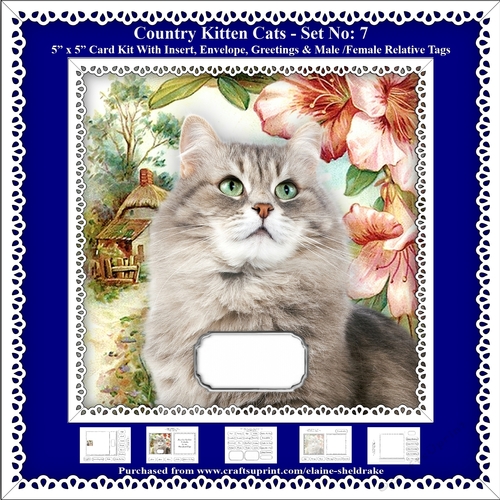Printable Country Kitten Cat Card Kit - Set No: 7