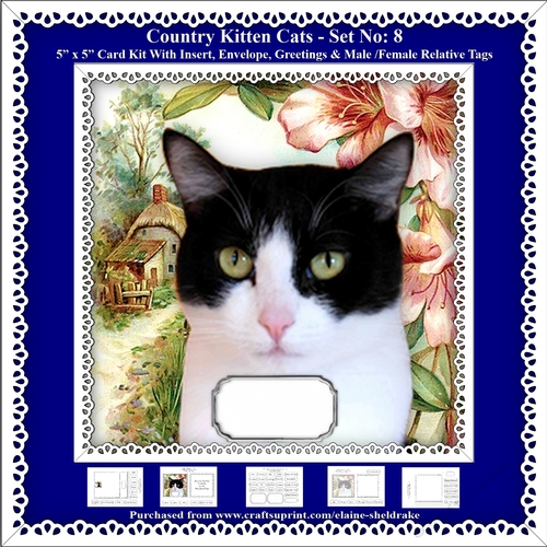 Printable Country Kitten Cat Card Kit - Set No: 8