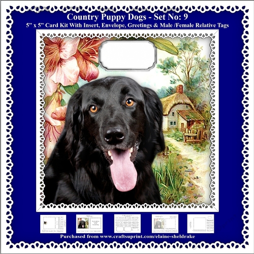 Printable Country Puppy Dogs Card Kit - Set No: 9
