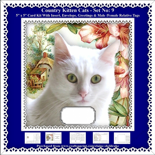 Printable Country Kitten Cat Card Kit - Set No: 9