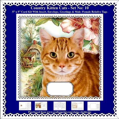 Printable Country Kitten Cat Card Kit - Set No: 10
