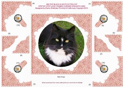 Mia the Black & White Kitten Cat Lace Framed Corner Stacker