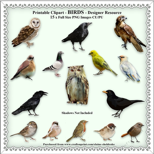 Printable Clipart - BIRDS - Designer Resource - 15 x Images With Transparent Backgrounds - CU/PU