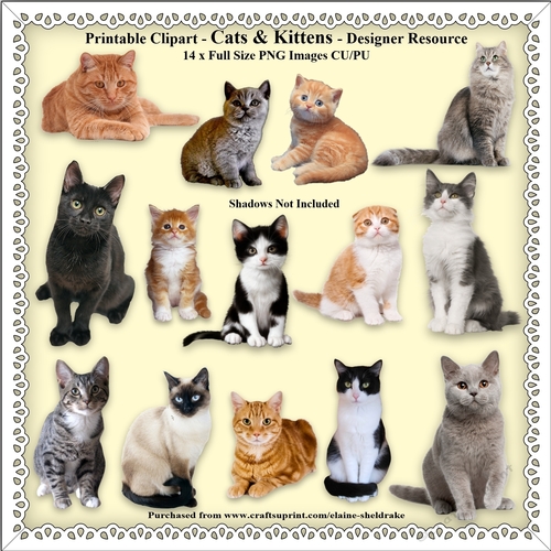 Printable Clipart - Cats & Kittens - Designer Resources - 14 x Images With Transparent Backgrounds - CU/PU