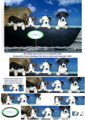 The Good Ship Rescue-pup Puppy Dog Pyramid Card