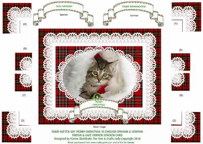Tabby Kitten Says Merry Christmas in English Spanish German