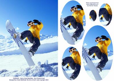 Meerkats - Sonny Snow Boarding - Oval Pyramid Card